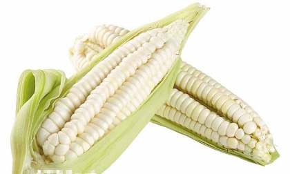 Loại nông sản Nhật có giá “trên trời” này lại khiến nhà giàu Việt 'lùng sục' tìm mua