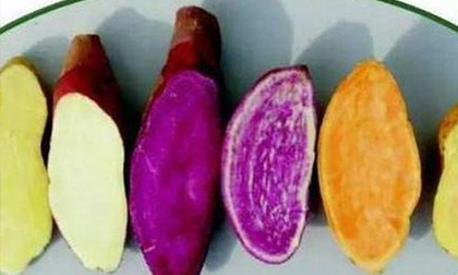 Những 'cấm kỵ' khi ăn khoai lang mà chị em là tín đồ món này nên biết