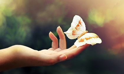 29 câu nói thay đổi số phận của mỗi con người, người giàu sang hay bần hèn cũng nhất định phải đọc một lần