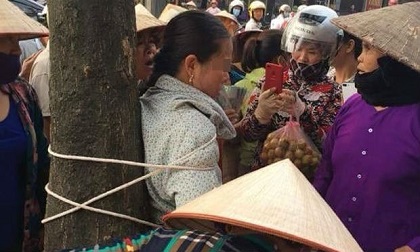 Thực hư thông tin người phụ nữ bị trói vào gốc cây vì thôi miên cướp tài sản