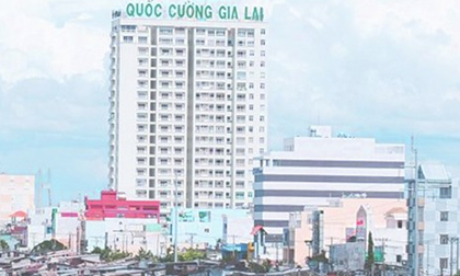 Dù nhận tin dữ, “chiến mã” nhà Cường Đô la vẫn khỏe