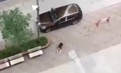 Clip: Nghi chồng cũ nổ súng bắn vợ ở chung cư, phóng ô tô bỏ chạy