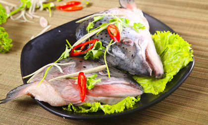 Những bộ phận của cá có thể gây nguy hiểm cho sức khỏe