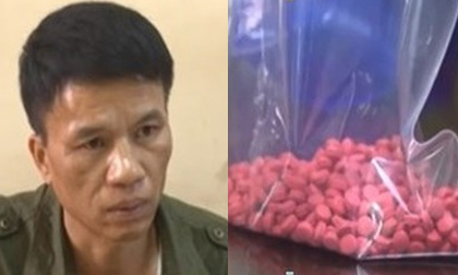 Người đàn ông 49 tuổi ‘ôm’ gần 1.000 viên ma túy vào nhà nghỉ
