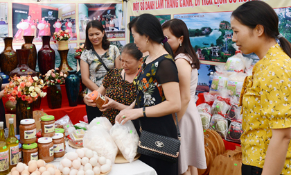 Từ câu chuyện “Việc nhà có thể đợi” đến hành trình “Chắp cánh đam mê phụ nữ Việt”