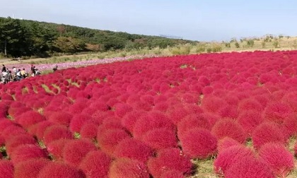 Ngỡ lạc sang hành tinh khác trước những địa điểm quá ấn tượng này