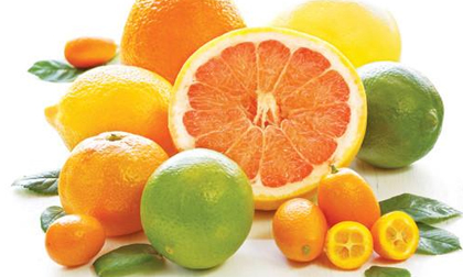 5 loại thực phẩm giúp trị cảm lạnh hiệu quả không thể thiếu trong căn bếp nhà bạn