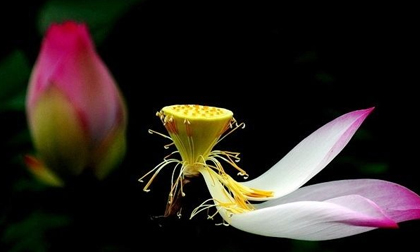 10 điều bạn tuyệt đối không nên quên trong cuộc đời, đặc biệt là điều thứ 5