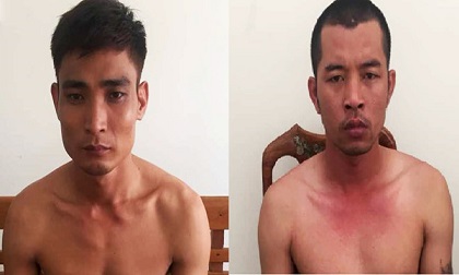 Bắt cặp 'đạo chích' lái xe tải đi trộm hộp điện ôtô