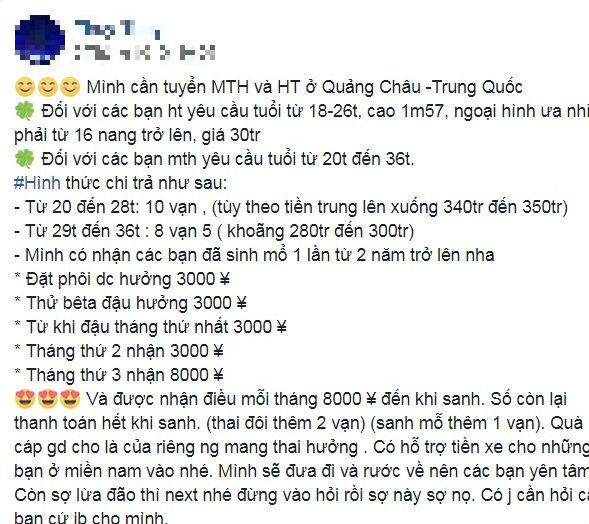ban trung xuyen bien gioi: thot tim hanh trinh du 