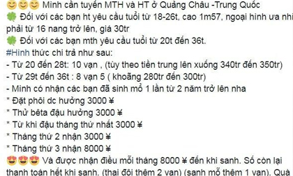 Bán trứng xuyên biên giới: Thót tim hành trình dụ 'siêu cò' lộ mặt