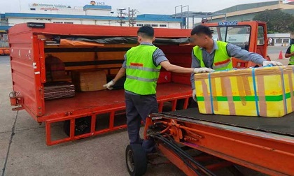 'Ném' hành lý của khách, 2 nhân viên hàng không bị sa thải