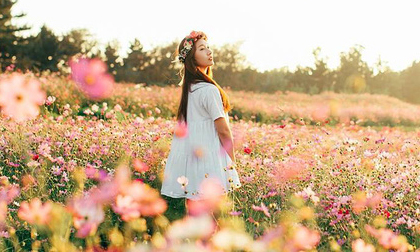 Tử vi ngày 15/11/2018 của 12 cung hoàng đạo mới nhất, chuẩn nhất