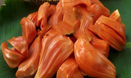 Tình cờ 'trời cho' 1 cây mít lạ, lão nông này giờ là tỷ phú