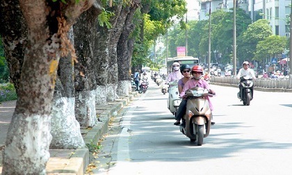 Dự báo thời tiết 1/12: Hà Nội ấm tưng bừng 29 độ