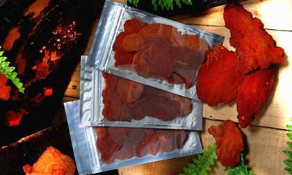 Nhìn như miếng bít tết nhưng lại là bảo vật trị ung thư, giá trị sản lượng 2.200 tỷ đồng/năm