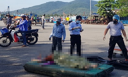 Tìm thấy thi thể người phụ nữ gieo mình xuống sông Hàn
