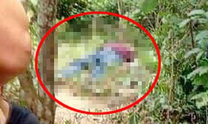 Phát hiện thi thể người đàn ông trong rừng Tam Đảo