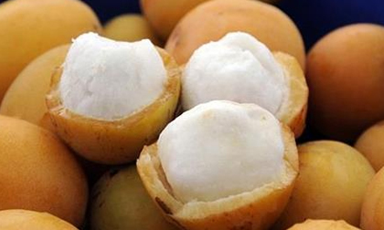 Loại quả được mệnh danh là “măng cụt vàng”, giá tiền triệu/kg