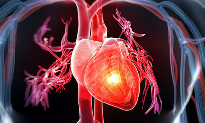 10 vị trí hiểm trên cơ thể là nguồn gốc của sinh mệnh luôn cần được chú ý bảo vệ