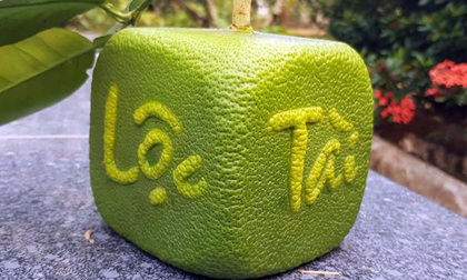 Bưởi thỏi vàng, bưởi vuông Tài - Lộc mới toanh sẽ được bán Tết 2019