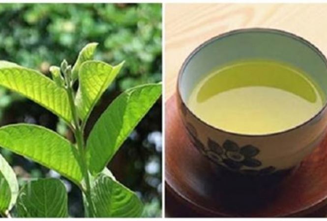 Sự thật về 