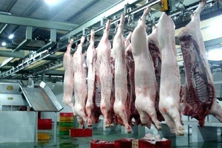 Lý giải vì sao không được giết vật nuôi trước mặt đồng loại - Ảnh 1.