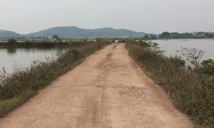Vụ người phụ nữ đi mua cá nửa đêm bị sát hại ngoài đồng: Người đi cùng nhập viện cấp cứu