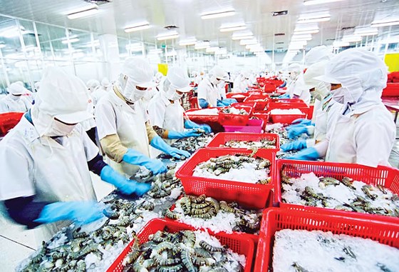 Soi tài sản của nữ hoàng chứng khoán Chu Thị Bình và tiểu thư “trăm tỷ” Lê Thị Dịu Minh hình ảnh 2 soi tai san cua nu hoang chung khoan chu thi binh va tieu thu “tram ty” le thi diu minh hinh anh 2
