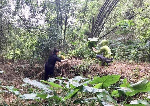hai dac san nam vua 