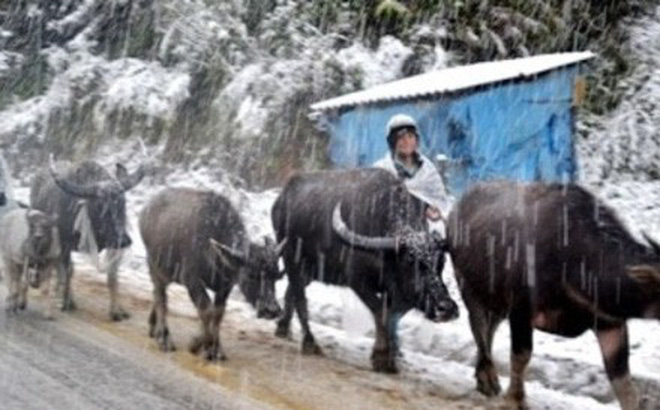 Miền Bắc rét đậm dịp Tết dương lịch, khả năng băng giá và mưa tuyết