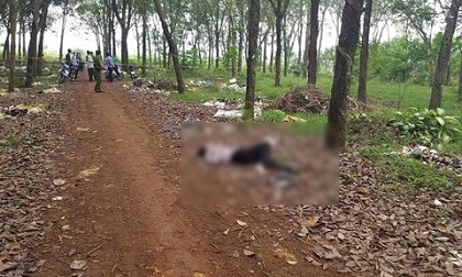 Người đàn ông bán vé số chết bất thường trong lô cao su
