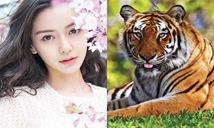 3 con giáp may mắn bủa vây, đếm tiền sái tay, giàu sang nức tiếng trong 2 tháng đầu năm 2019