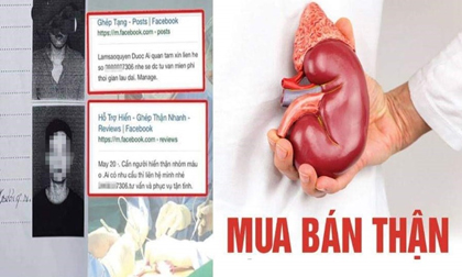 Buôn bán thận người: Đường dây dài đến đâu?
