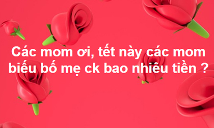 Câu hỏi 'biếu Tết nhà chồng bao nhiêu là đủ' gây tranh cãi: Người tốn hàng chục triệu, người 0 đồng, còn xin thêm