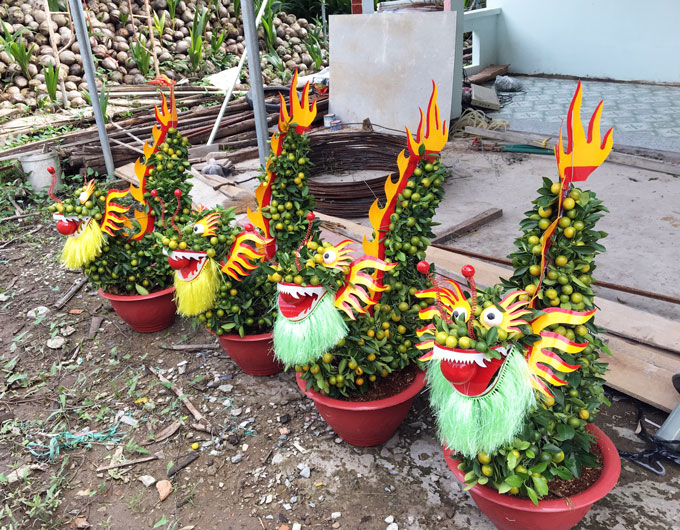 quat kieng hinh heo, rong, huou,...ram ro 'do bo' vao chung tet 2019 hinh anh 4