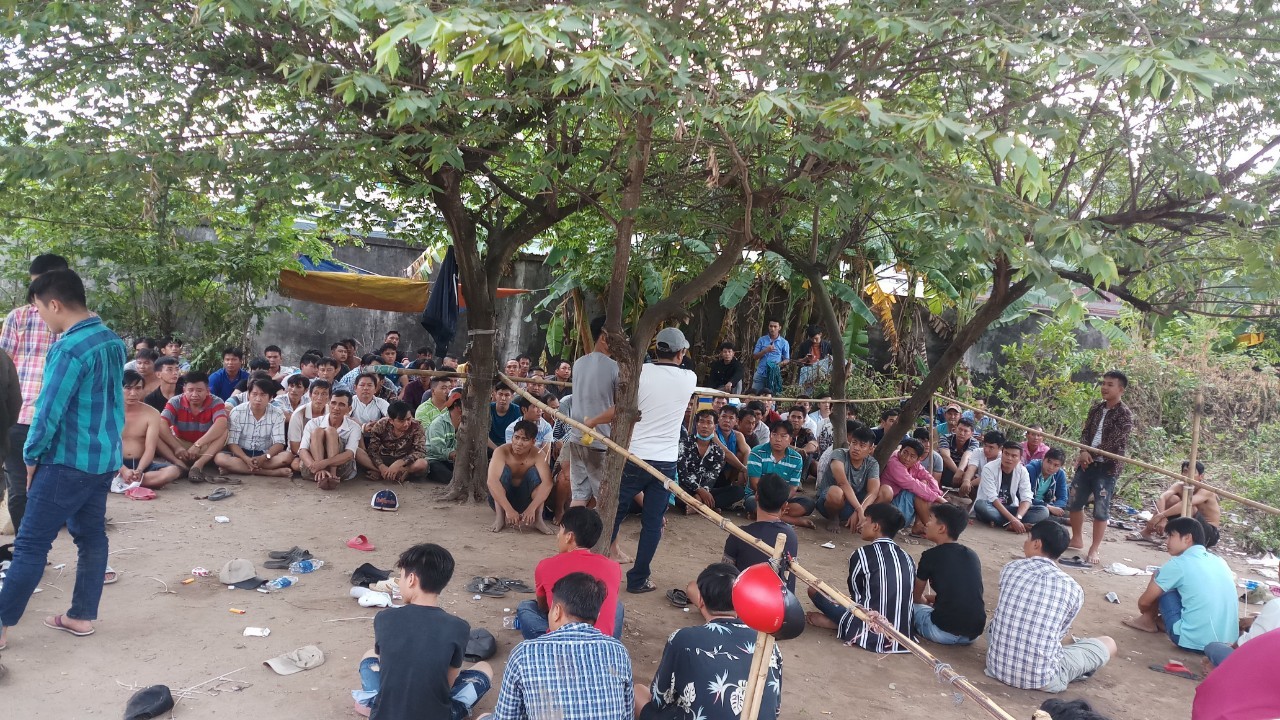 hang tram canh sat vay rap truong ga khung, bat gan 120 con bac hinh anh 1