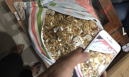 Vụ trộm 430 lượng vàng Quảng Nam: Nữ chủ tiệm vàng khai báo gì?