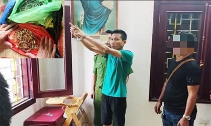 Lai lịch bất hảo của nhóm trộm 200 cây vàng ở Ninh Bình