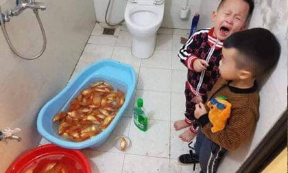 Mẹ 'khởi nghiệp' buôn cá vàng cúng Táo, con thương mẹ tắm cá và cái kết cười ra nước mắt