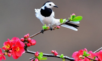 Tử vi thứ năm ngày 31/1/2019 của 12 con giáp mới nhất, chuẩn nhất