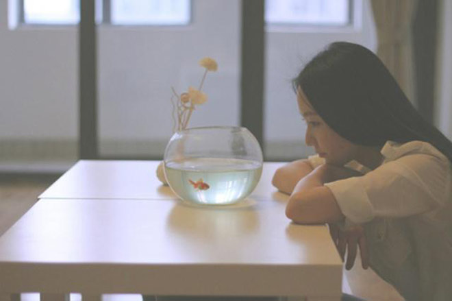 5 năm mới dám xin về Tết ngoại, bố chồng nói một câu khiến tôi sững người - 1
