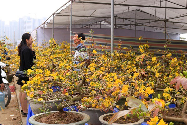 Dự báo thời tiết 3/2: Miền Bắc có nơi nóng 30 độ như mùa hè