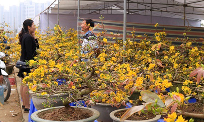 Dự báo thời tiết 3/2: Miền Bắc có nơi nóng 30 độ như mùa hè