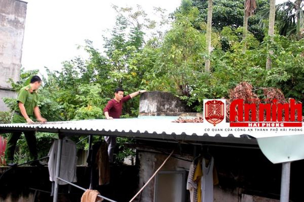 Kẻ trộm mộ bước ra ánh sáng và cuộc sống