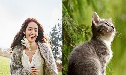 Hưởng lộc thần Tài, 3 con giáp chuẩn bị ra cửa ôm lộc về cả năm phú quý hưng thịnh