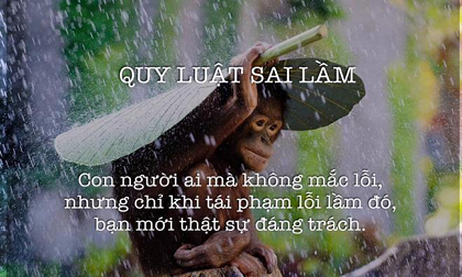24 định luật cuộc sống càng đọc càng thấm, hiểu được ắt sẽ thành công