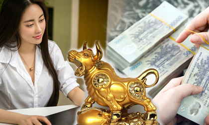 Tử vi năm Kỷ Hợi: Tuổi nào sẽ gặp quý nhân, thành công nhất trong số 12 con giáp năm 2019?