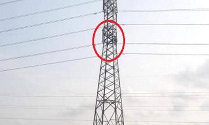 Người đàn ông nghi ngáo đá ngồi vắt vẻo cả ngày trên cột điện cao thế