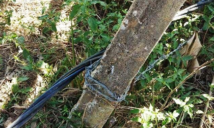 Đi qua hàng rào có dây điện, hai vợ chồng tử vong thương tâm